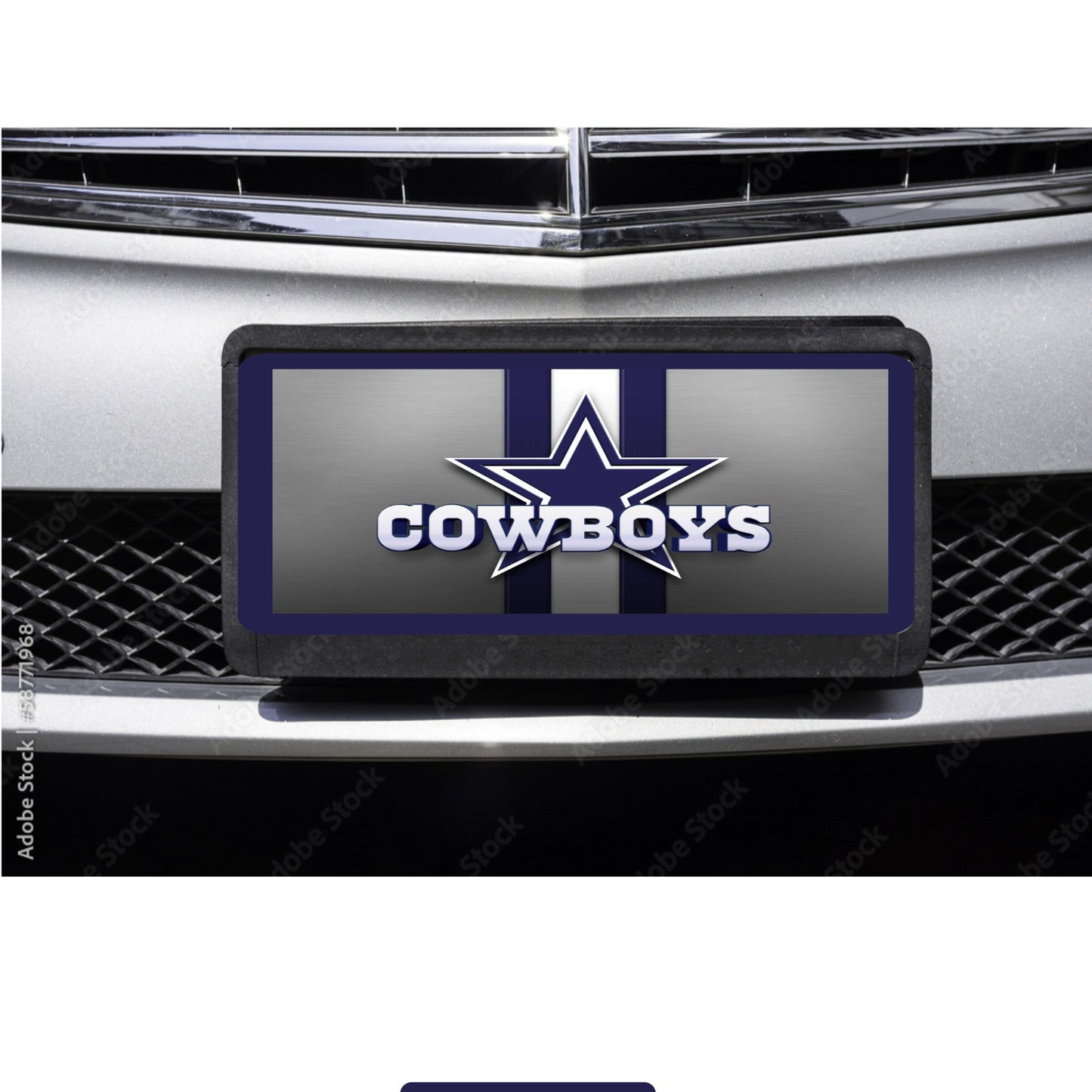 NFL Custom team Licenses Plate All 32 teams